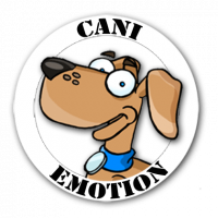 Educateur-canin-le-havre