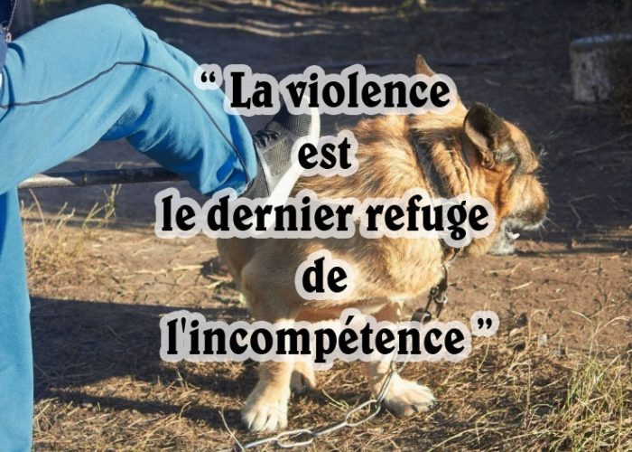 “ La violence est le dernier refuge de l'incompétence ”