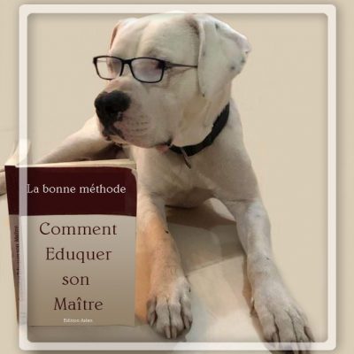 comment-eduquer-son-maitre