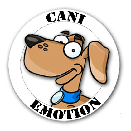 Educateur-canin-le-havre