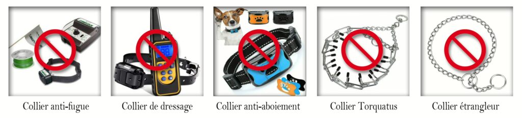 collier aversif nuisible au comportement du chien
