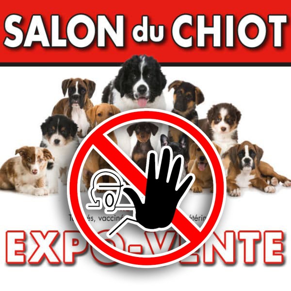 Salon du chiot à bannir