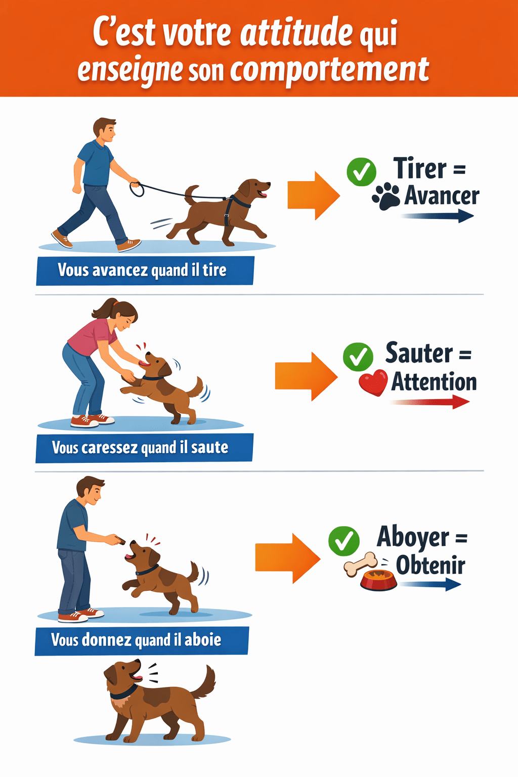Apprenez par l'attitude de votre chien